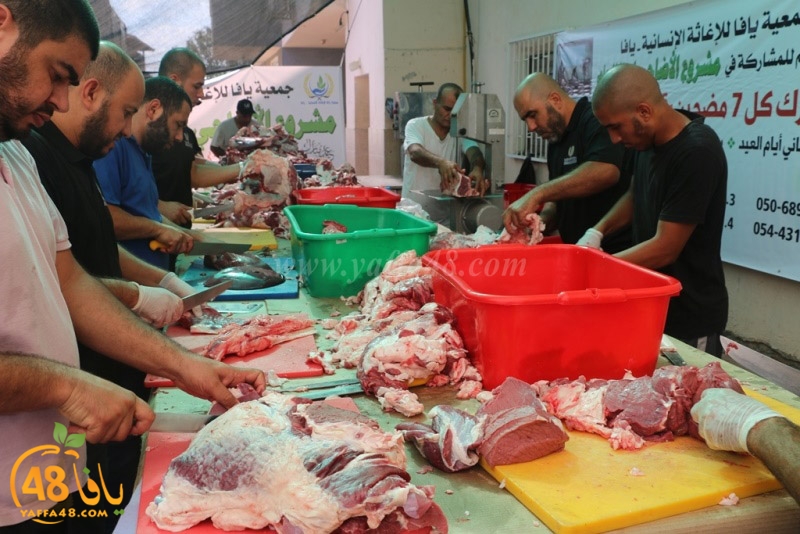 lod8om ada73y (113).JPG